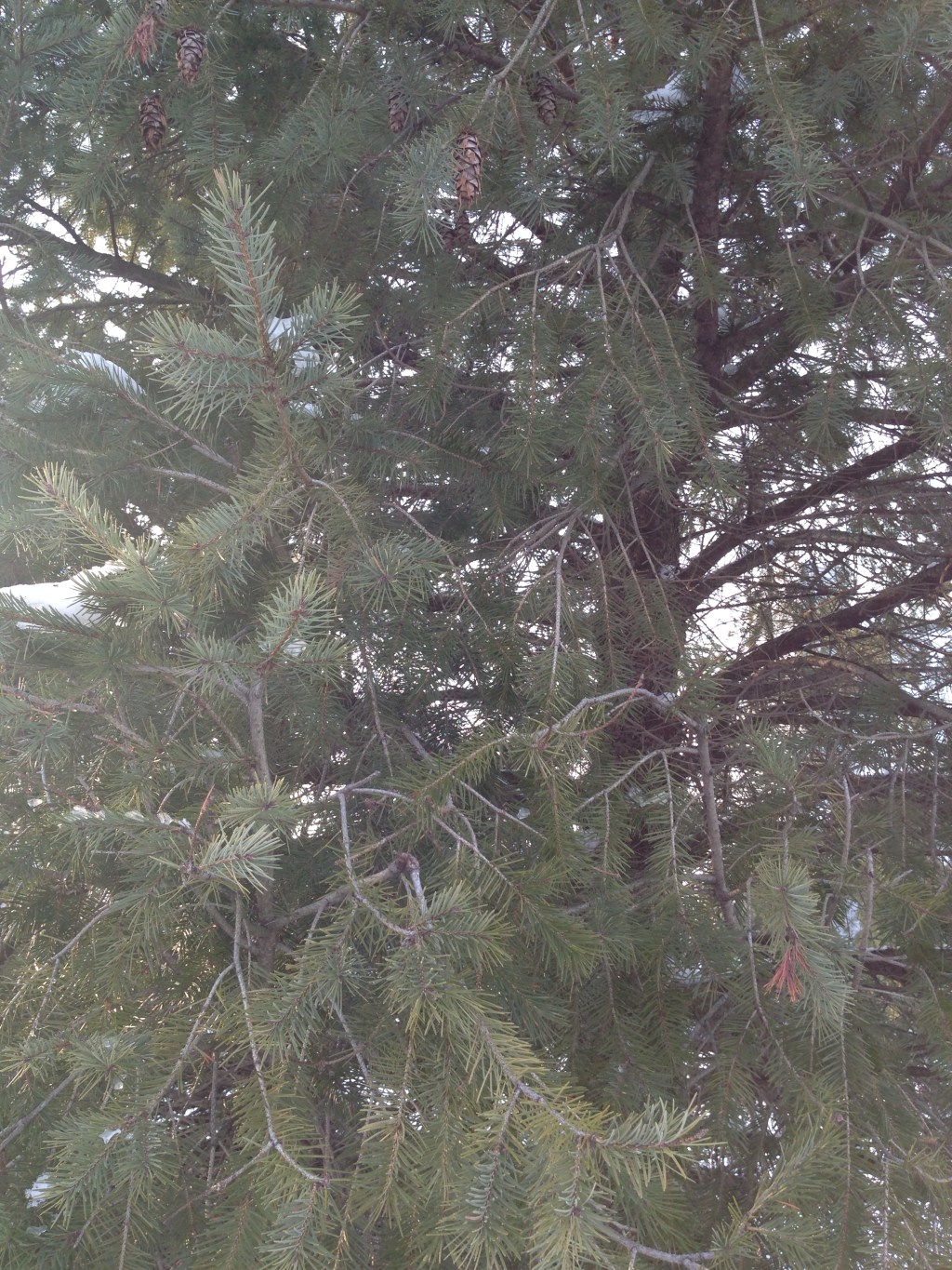 Zombie Archetypes Enliven Creative Non-Fiction Writers and&nbsp;Poets